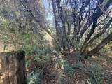 10986 Tyler Foote Crossing Road - Photo 8