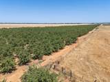 8972 Palermo Honcut Highway - Photo 28