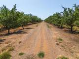 8972 Palermo Honcut Highway - Photo 42