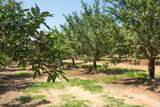 8972 Palermo Honcut Highway - Photo 45