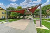 2415 Torino Street - Photo 61