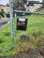 6002 Mazuela Drive - Photo 4