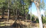 0 N. Canyon Way / Iowa Hill Rd - Photo 37
