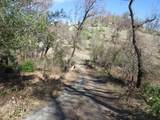 0 N. Canyon Way / Iowa Hill Rd - Photo 46