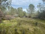 10600 Wild Turkey Lane - Photo 28