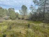 10600 Wild Turkey Lane - Photo 29