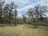 10600 Wild Turkey Lane - Photo 9