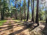 5303 Old Mine Road - Photo 3