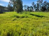 12234 Clay Station Road - Photo 40