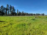 12234 Clay Station Road - Photo 41