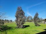 12234 Clay Station Road - Photo 42
