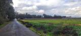 51090 County Rd 4 Road - Photo 7