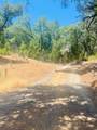 23025 Placer Hills Road - Photo 12