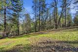 1642 The Point Road Lot 297 - Photo 30