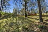 1642 The Point Road Lot 297 - Photo 31