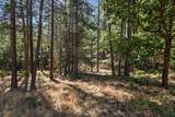 22090 Alton Trail - Photo 5