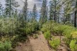 0 Volcano Trail - Photo 6