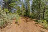 0 Volcano Trail - Photo 7