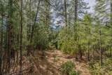 0 Volcano Trail - Photo 8