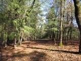 0 Forest Lake Place - Photo 3