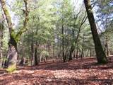 0 Forest Lake Place - Photo 6