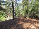 0 Forest Lake Place - Photo 7