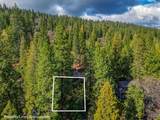 593 Avery Sheep Ranch Road - Photo 10