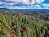 593 Avery Sheep Ranch Road - Photo 12