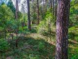 593 Avery Sheep Ranch Road - Photo 3