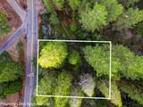 593 Avery Sheep Ranch Road - Photo 6