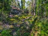 593 Avery Sheep Ranch Road - Photo 9