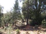 0 Forest Lake Place - Photo 11