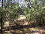 0 Forest Lake Place - Photo 12