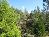 0 Forest Lake Place - Photo 13