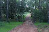 1940 Dorado Ridge Trail - Photo 16