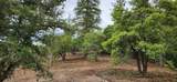 18148 Greenhorn Road - Photo 2