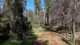 11684 Serendipity Lane - Photo 31