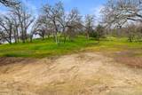 1593 Camino Verdera - Photo 10