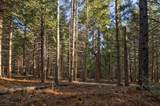 680 Sugar Pine Road - Photo 2