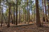 680 Sugar Pine Road - Photo 3
