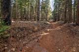 680 Sugar Pine Road - Photo 8