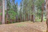 10973 Scotts Flat Dam Road - Photo 83