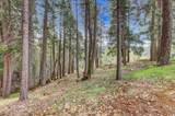 10973 Scotts Flat Dam Road - Photo 84