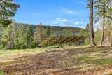 10973 Scotts Flat Dam Road - Photo 85