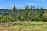 10973 Scotts Flat Dam Road - Photo 86