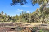 17421 Anona Court - Photo 11