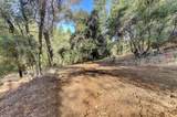 17421 Anona Court - Photo 32
