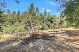 17421 Anona Court - Photo 71