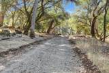 17421 Anona Court - Photo 75