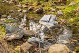 0 Skunk Gulch Road - Photo 10